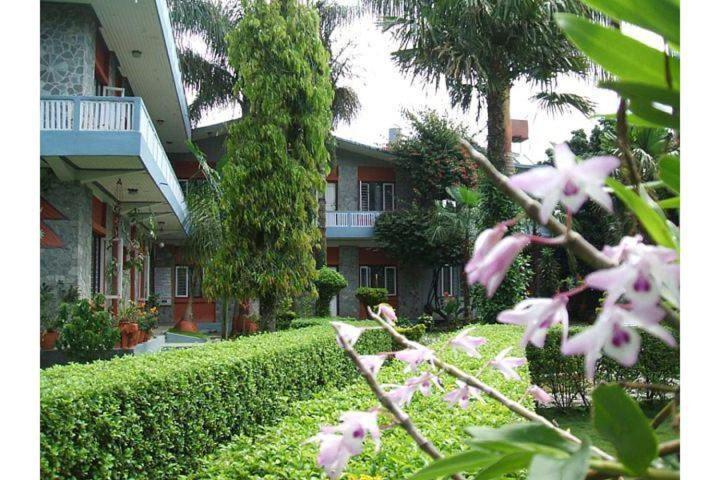 Nepal Guest House Pokhara Exterior photo
